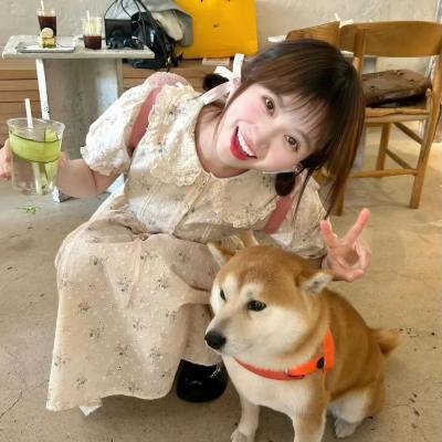 老虎